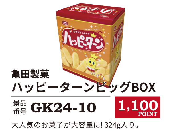 カタログ景品10