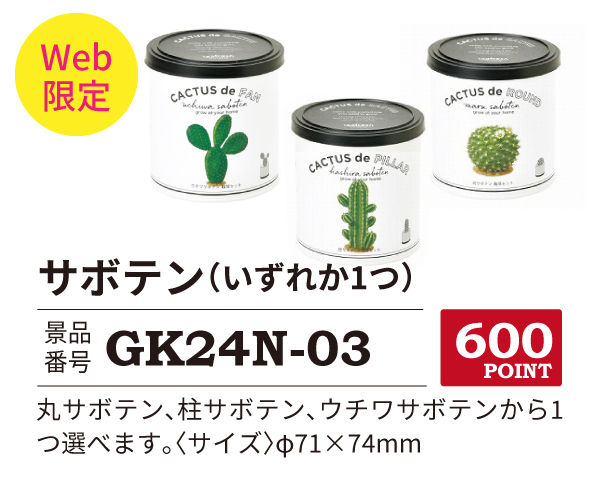 カタログ景品web限定3