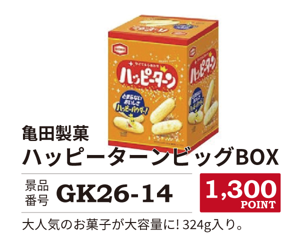 カタログ景品14