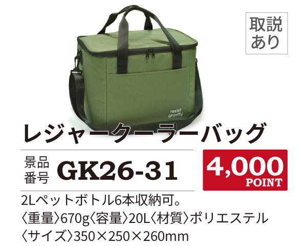 カタログ景品31
