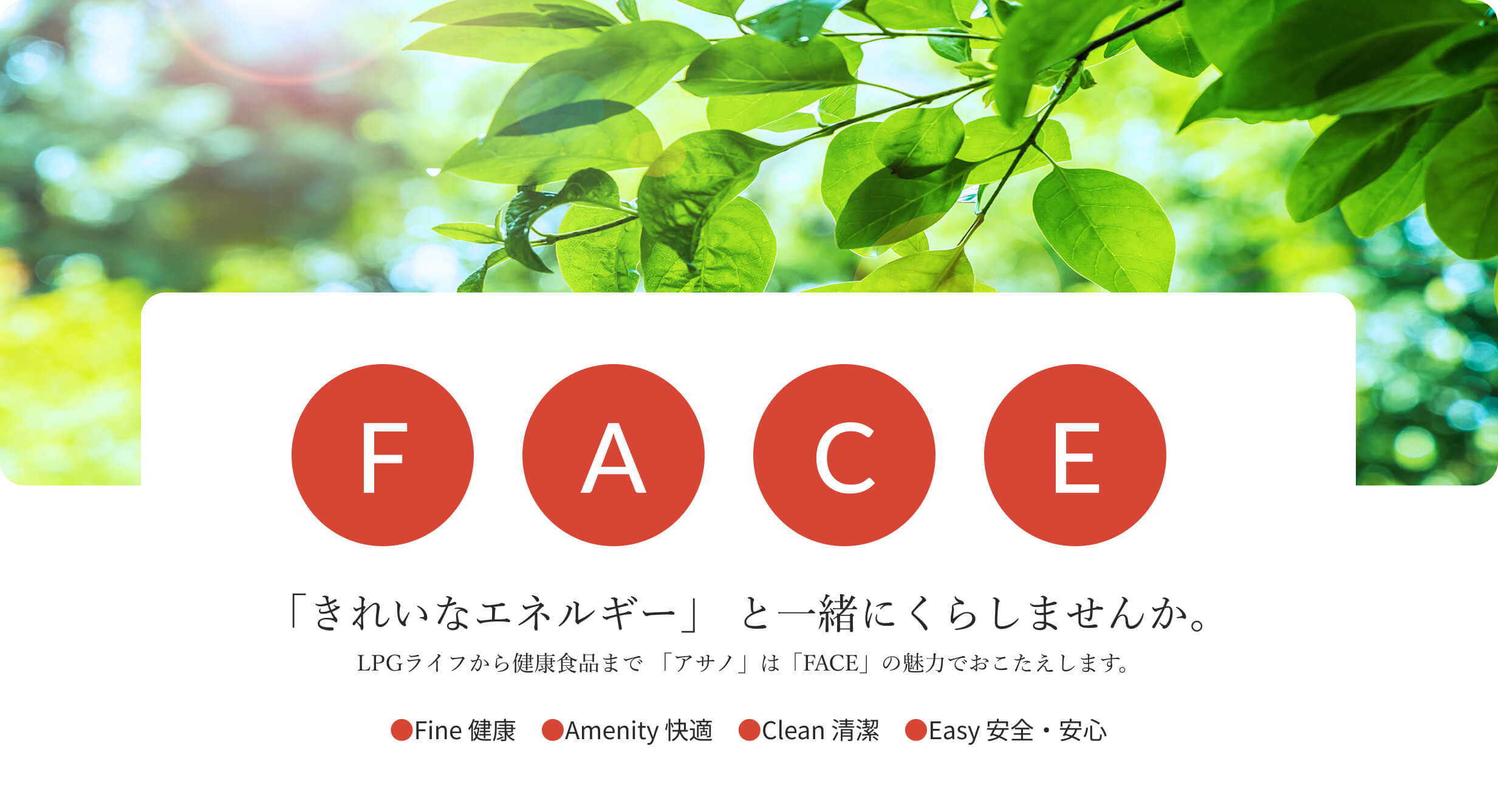 「きれいなエネルギー」 と一緒にくらしませんか。LPGライフから健康食品まで 「アサノ」は「FACE」の魅力でおこたえします。