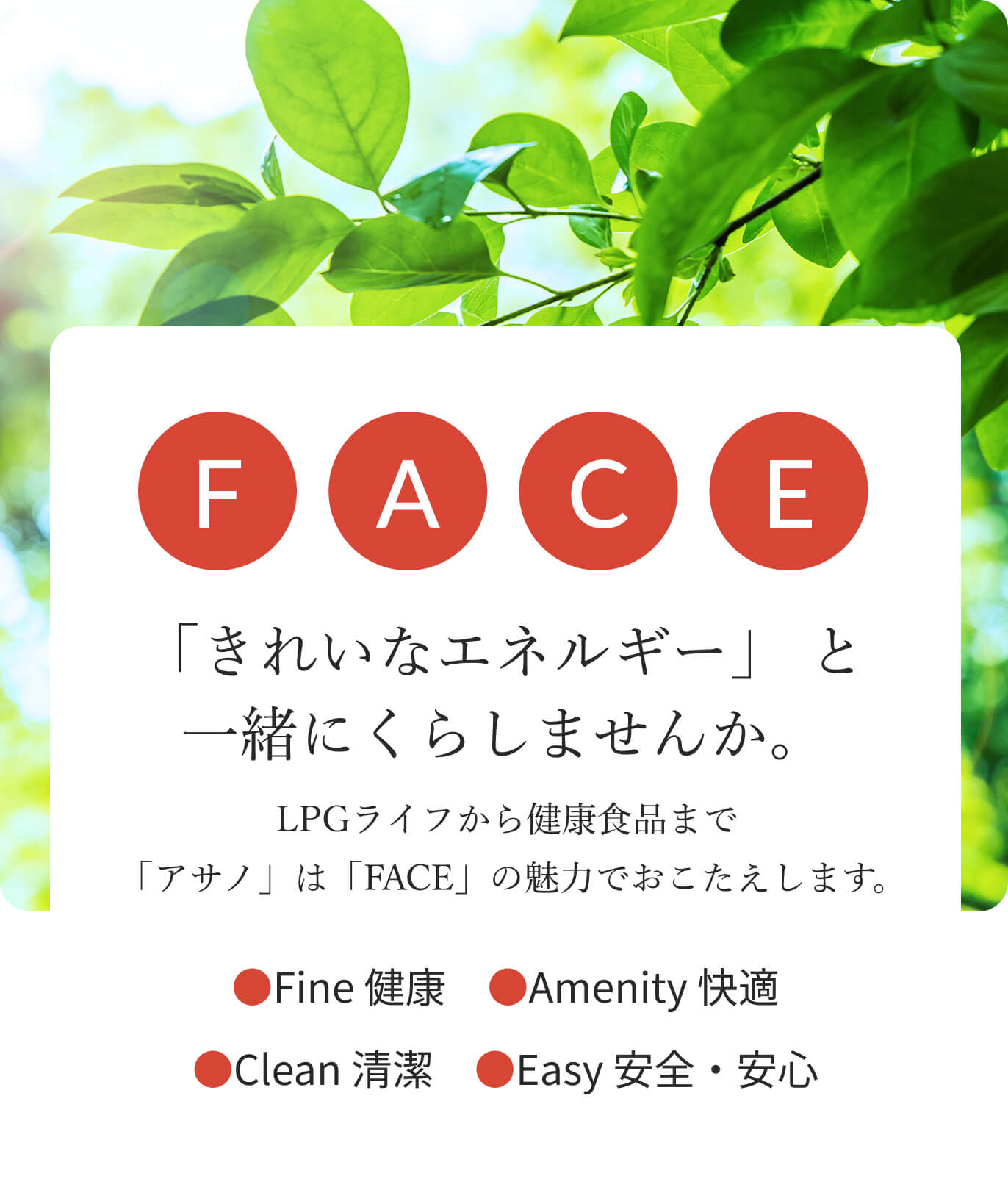 「きれいなエネルギー」 と一緒にくらしませんか。LPGライフから健康食品まで 「アサノ」は「FACE」の魅力でおこたえします。